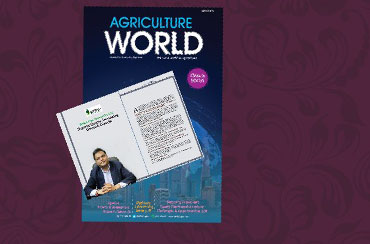 Leverage agile frameworks to provide