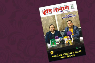 Organically grow the holistic world view