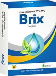 Brix