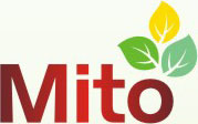 Mito