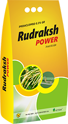 Rudraksh Power