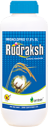 Rudraksh